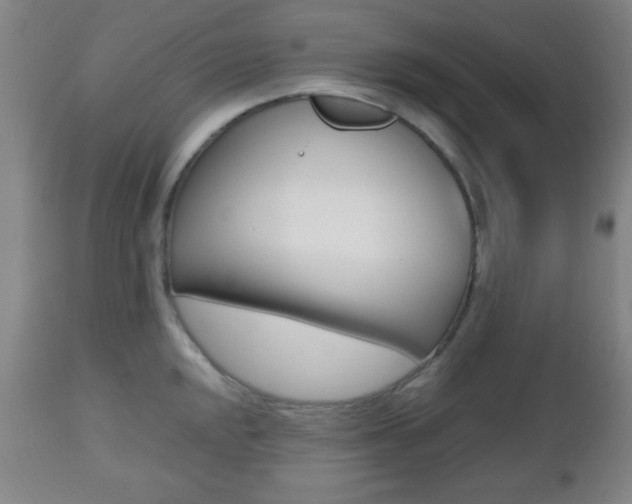 X0000112511048200908171043