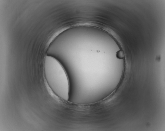 X0000112511049200908171043