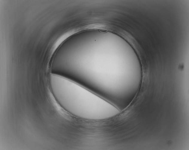 X0000112511050200908171043