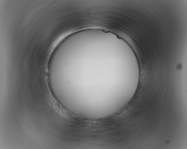 X0000112511051200908171043