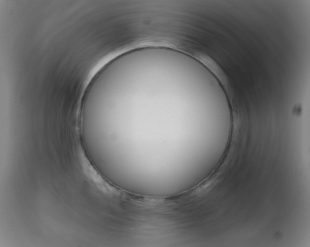X0000112511052200908171043