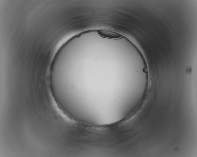 X0000112511053200908171043