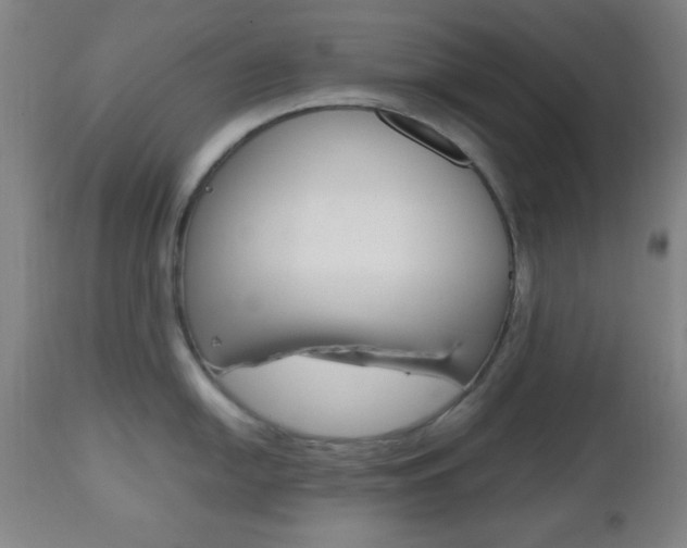 X0000112511054200908171043
