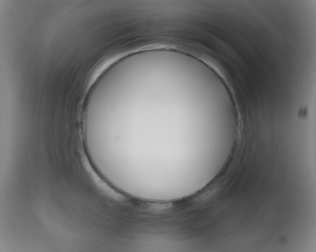 X0000112511055200908171043