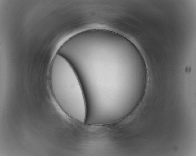 X0000112511056200908171043