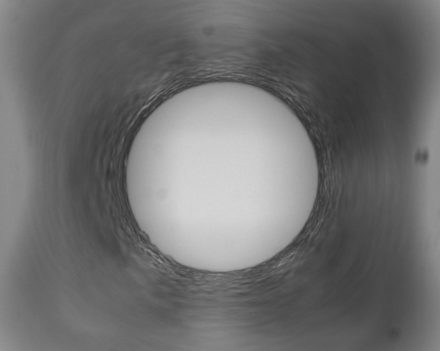 X0000112511057200908171042