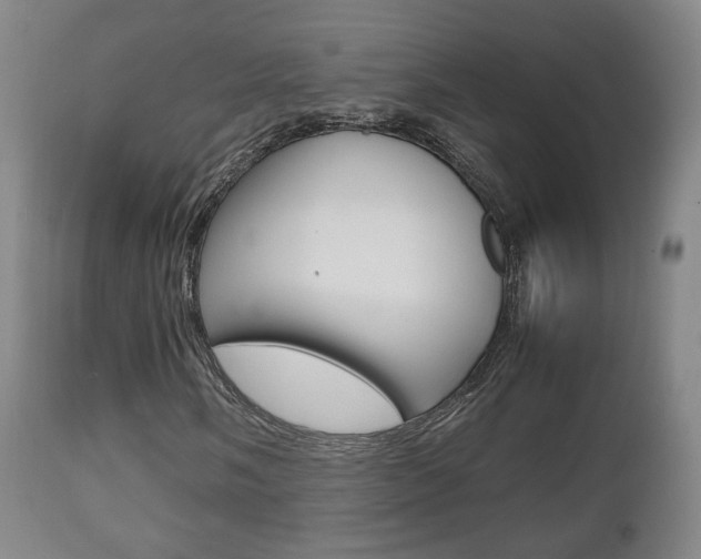 X0000112511058200908171042