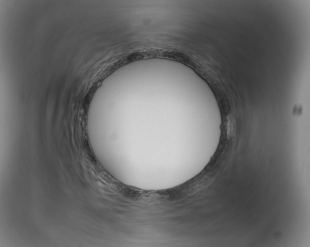 X0000112511059200908171042