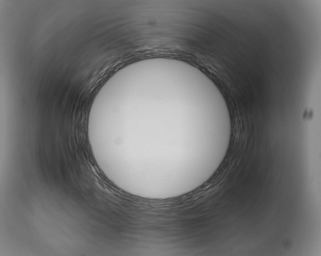 X0000112511060200908171042