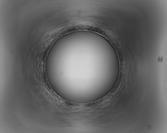 X0000112511061200908171042