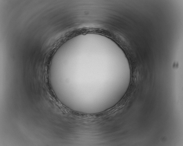 X0000112511062200908171042