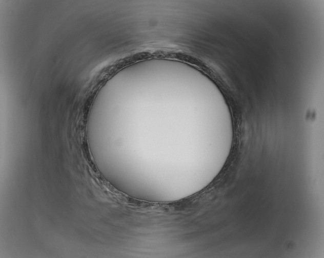 X0000112511063200908171042