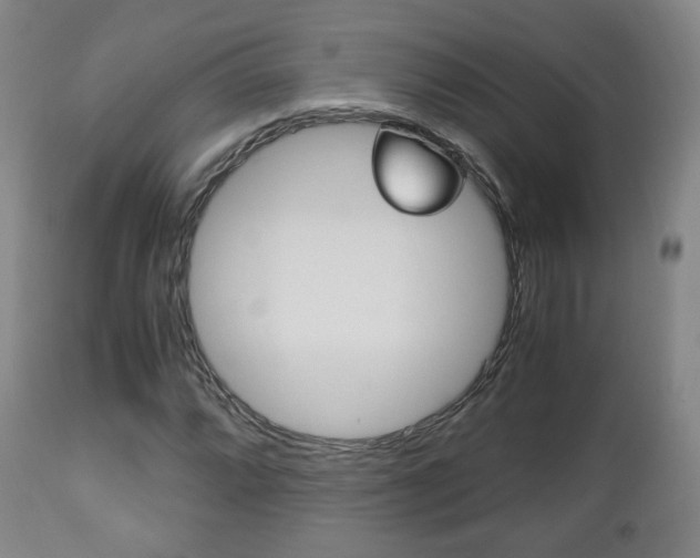X0000112511064200908171042