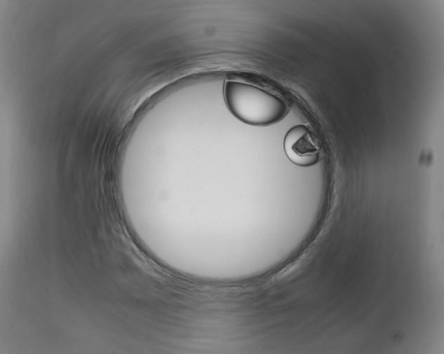 X0000112511065200908171042