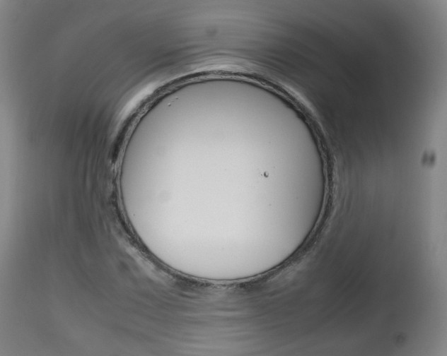 X0000112511067200908171042