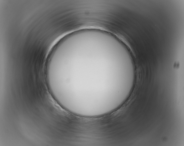X0000112511068200908171042