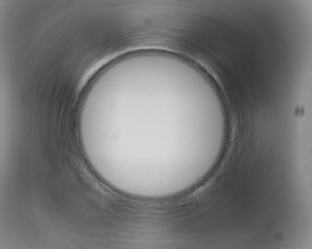 X0000112511069200908171042