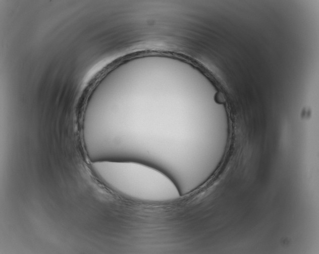 X0000112511070200908171042