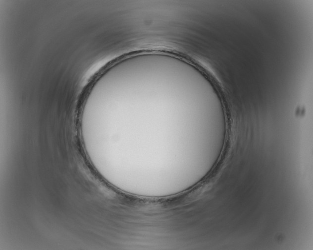 X0000112511071200908171042