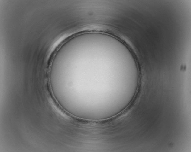 X0000112511075200908171042