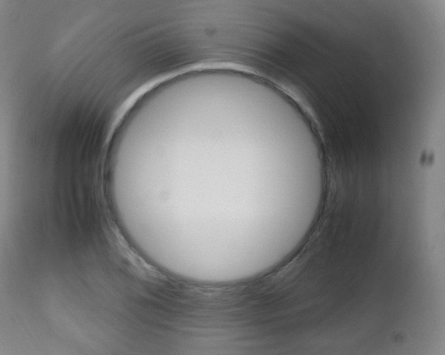 X0000112511076200908171042