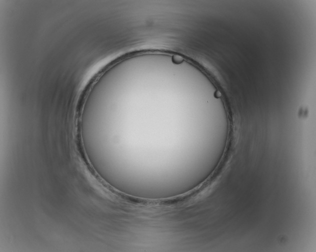 X0000112511077200908171042
