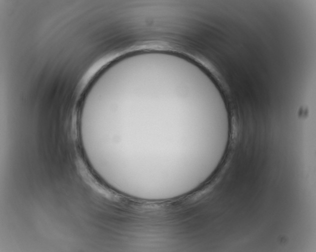 X0000112511078200908171042