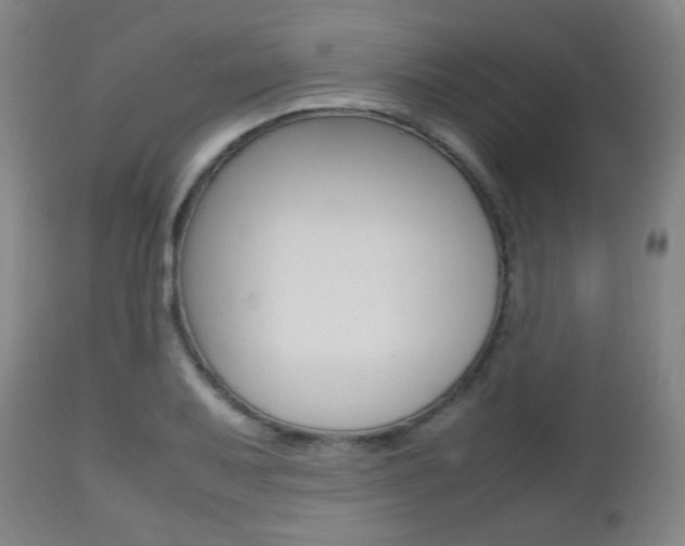 X0000112511079200908171042