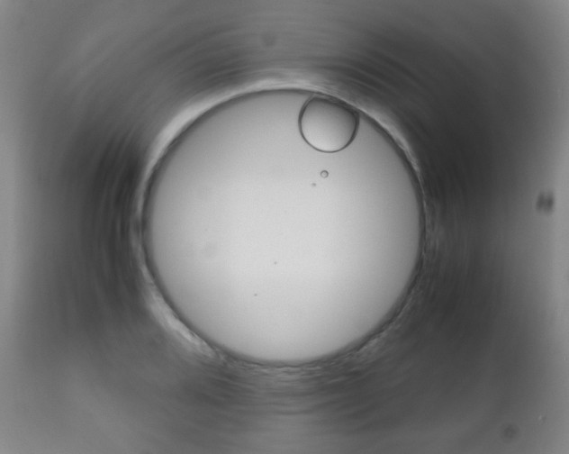 X0000112511080200908171042