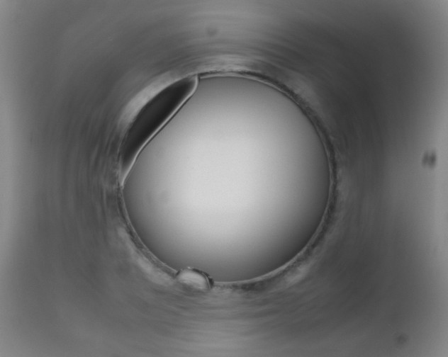 X0000112511081200908171042