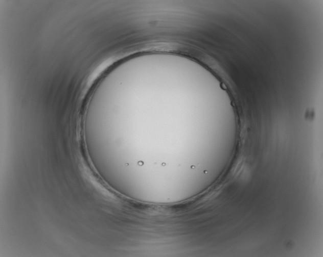 X0000112511083200908171042