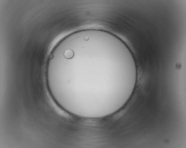 X0000112511086200908171042