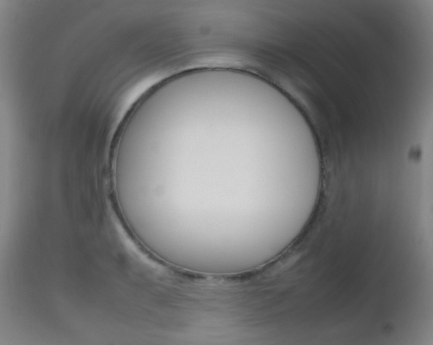 X0000112511087200908171042