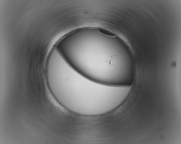 X0000112511088200908171042