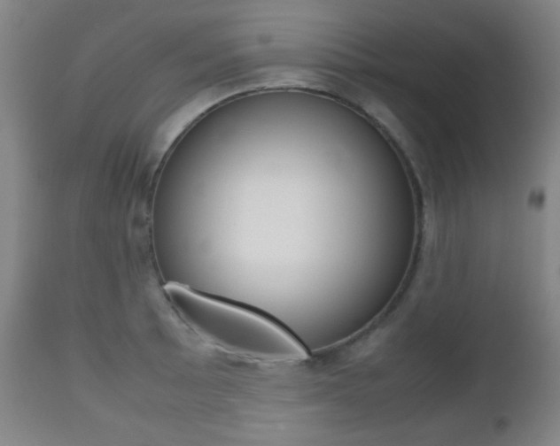 X0000112511089200908171042
