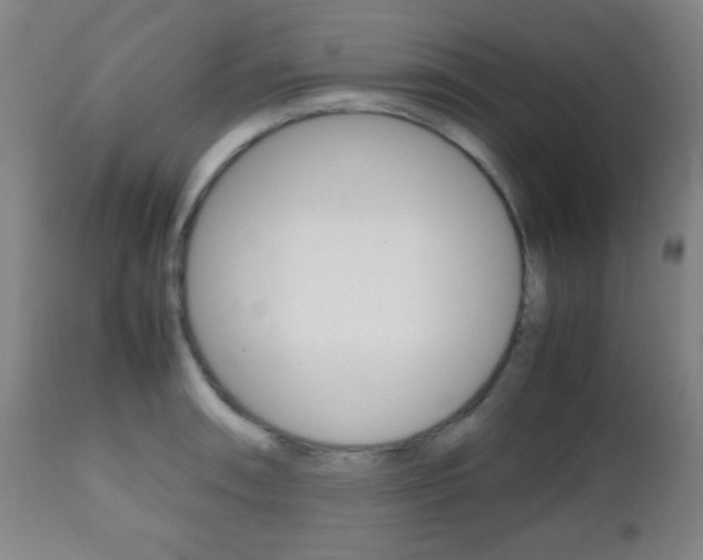 X0000112511090200908171042