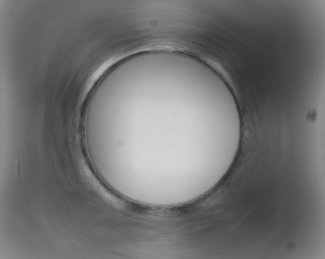 X0000112511091200908171042