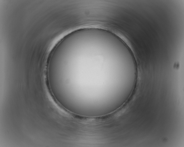 X0000112511093200908171042