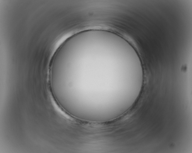 X0000112511095200908171042
