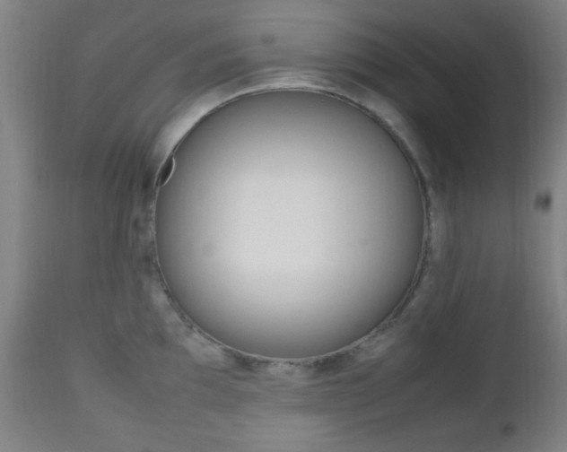 X0000112511097200908171042