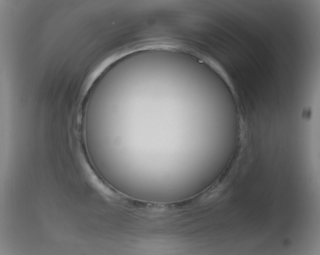X0000112511099200908171042