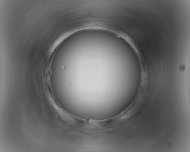 X0000112511101200908171042