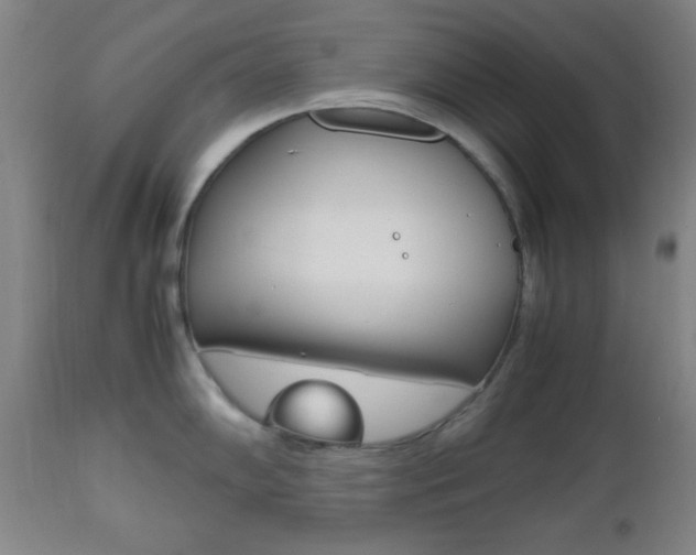 X0000112511102200908171042