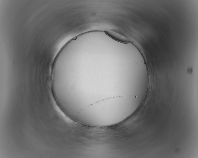 X0000112511103200908171042