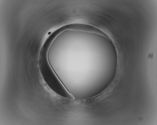 X0000112511104200908171042