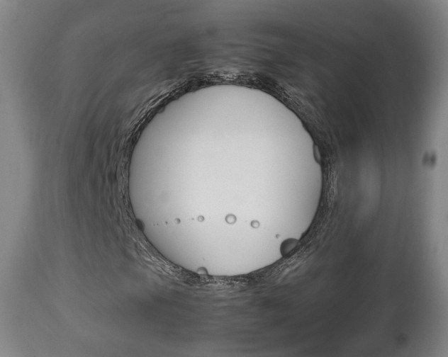 X0000112511105200908171041