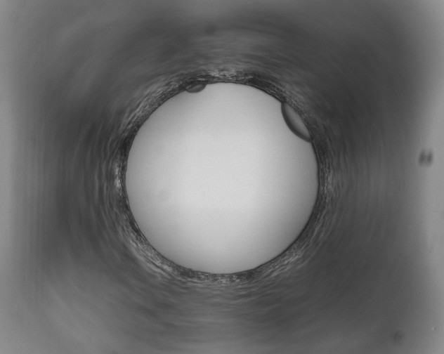 X0000112511106200908171041