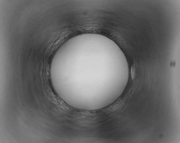 X0000112511107200908171041