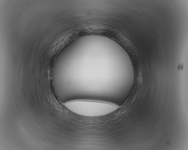 X0000112511108200908171041
