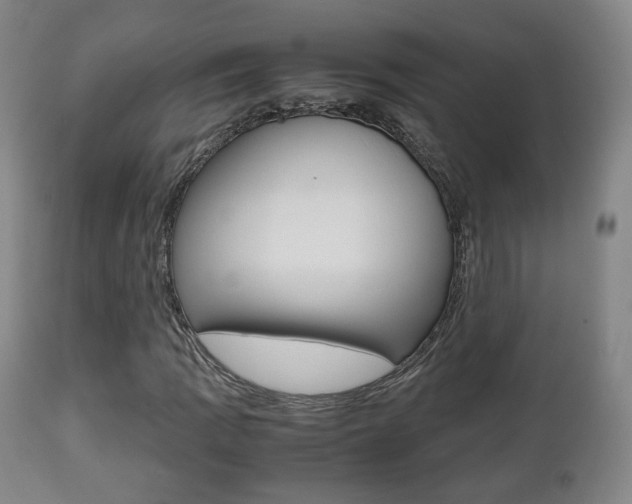 X0000112511109200908171041